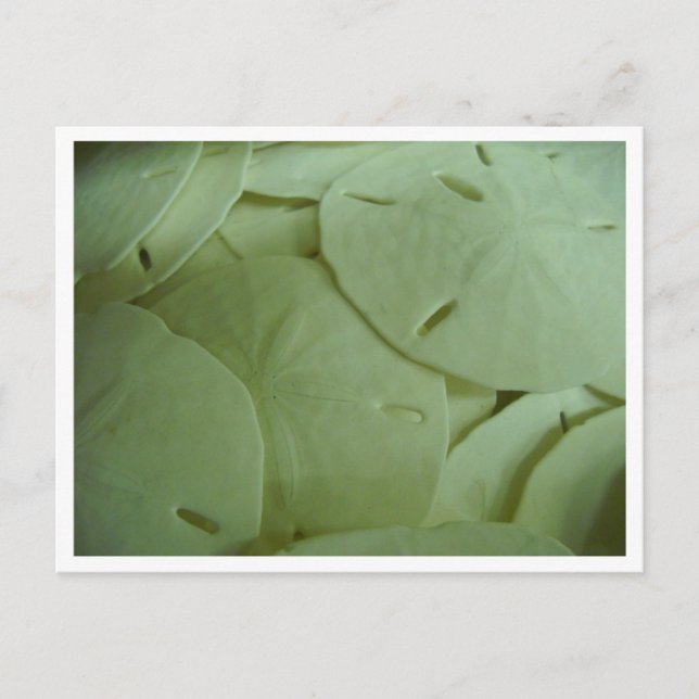 Cartão Postal Eu sou rico! (Frente)