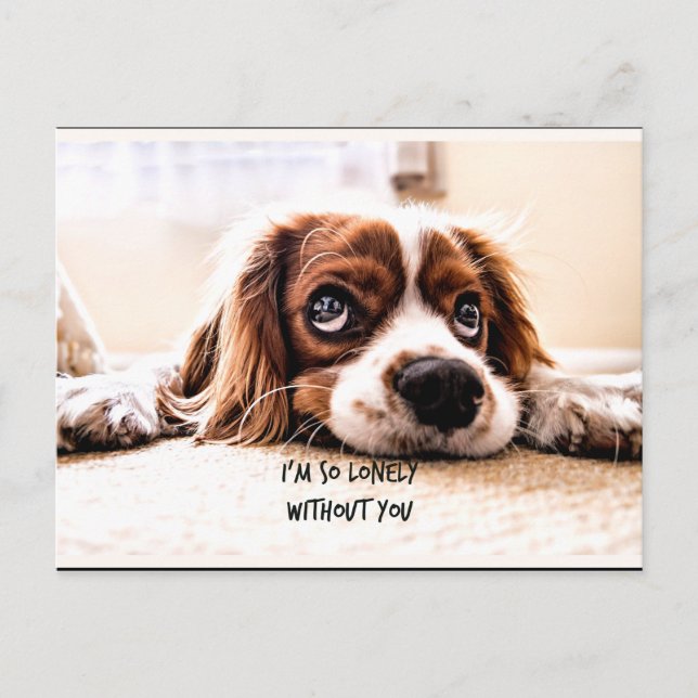Cartão Postal Eu sou tão solitário sem você (Frente)