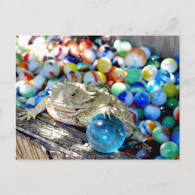 Cartão Postal Eu Sou Um Atirador De Heteros — "Hora Do Marble" (Frente)