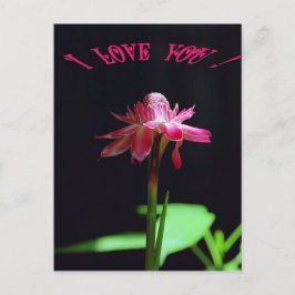 Cartão Postal Eu te amo