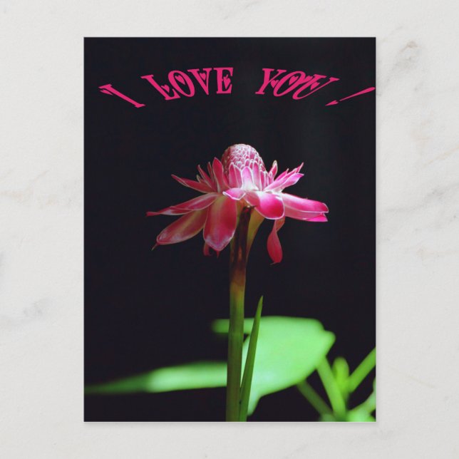 Cartão Postal Eu te amo (Frente)