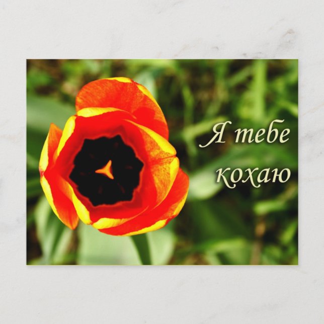 Cartão postal Eu te amo (Frente)