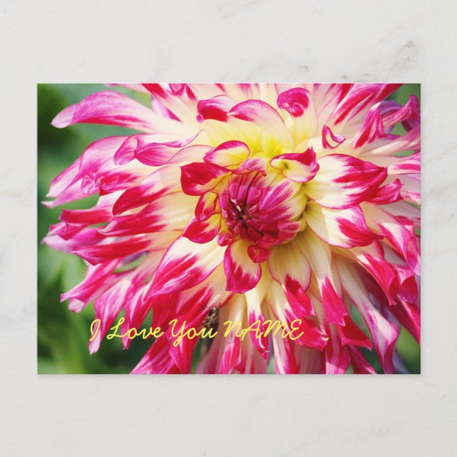 Cartão Postal Eu Te Amo (Frente)