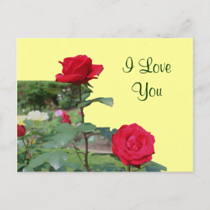 Cartão Postal Eu Te Amo Cartão-Postal De Foto De Flor Do Rosa v