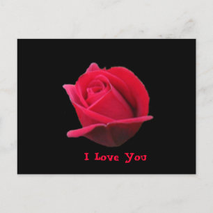 Cartão Postal Eu Te Amo Cartaz De Rosa