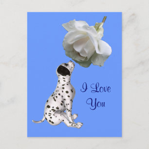 Cartão Postal Eu Te Amo Cartaz Fotográfico De Flor De Rosa Pupp