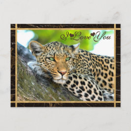 Cartão Postal Eu Te Amo Foto De Leopardo