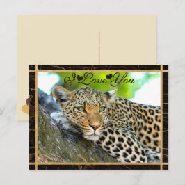 Cartão Postal Eu Te Amo Foto Leopard