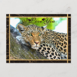 Cartão Postal Eu Te Amo Foto Leopard