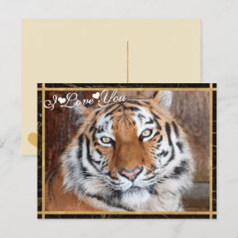 Cartão Postal Eu Te Amo Imagem Fotográfica Tiger