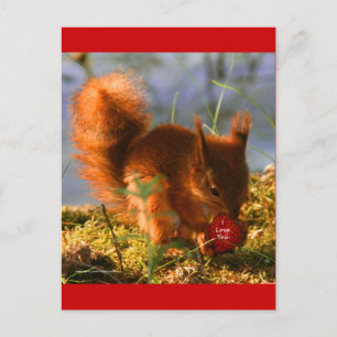 Cartão Postal Eu Te Amo, Morango