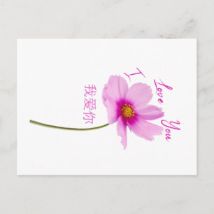 Cartão Postal Eu te amo (Wo Ai Ni) em chinês