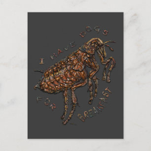 Cartão Postal Eu tenho cães para café da manhã