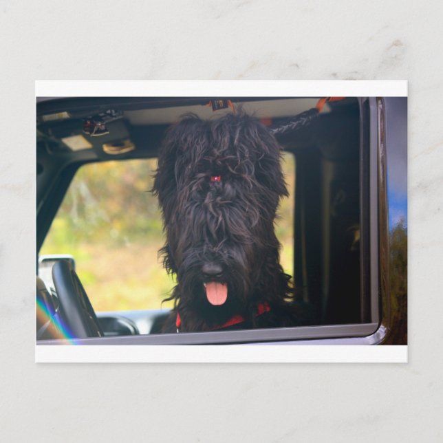 Cartão Postal Eu tenho este jipe (Frente)