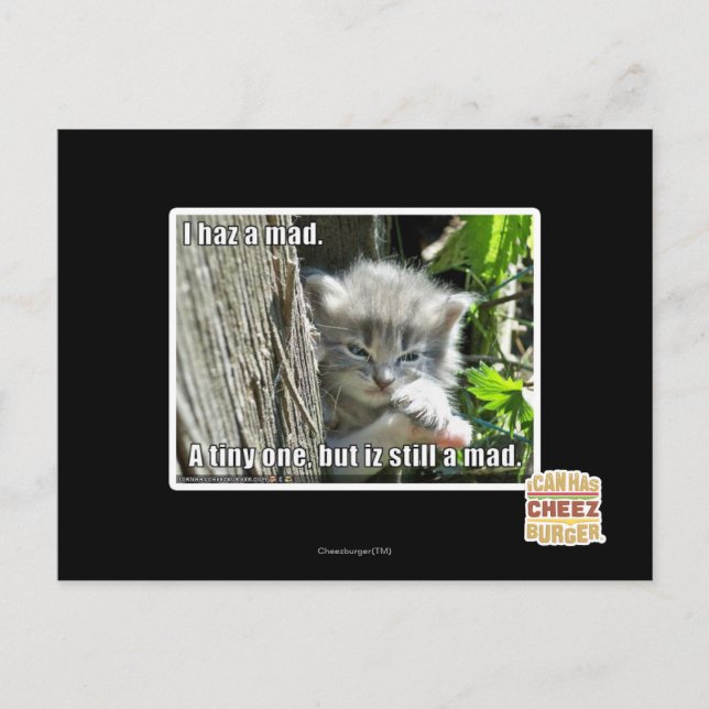 Cartão Postal Eu tenho um louco (Frente)