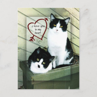 Cartão Postal Eu tenho você no meu coração