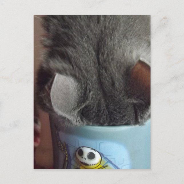 CARTÃO POSTAL EU TIVE MEU CAFÉ! (Frente)