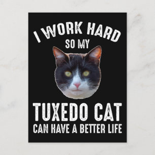 Cartão Postal Eu Trabalho Duro Para Que Meu Gato Tuxedo Tenha Um