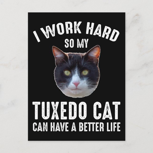 Cartão Postal Eu Trabalho Duro Para Que Meu Gato Tuxedo Tenha Um (Frente)