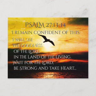 Cartão Postal Eu verei a bondade do Lorde Salm 27:13-14
