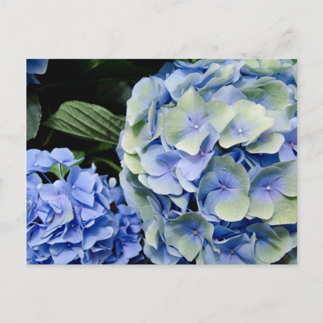 Cartão Postal EUA, Alabama, Theodore perto do Mobile 2 (Frente)