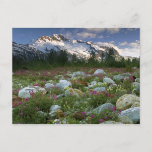 Cartão Postal EUA, Alasca, Deserto de Alsek-Tatshenshini. Vista