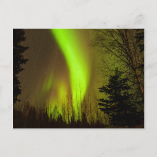 Cartão Postal EUA, Alaska, Chena Hot Primaveras. Vista Do Aurora