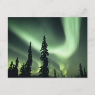 Cartão Postal EUA, área de Fairbanks, Alasca Central, Aurora 2