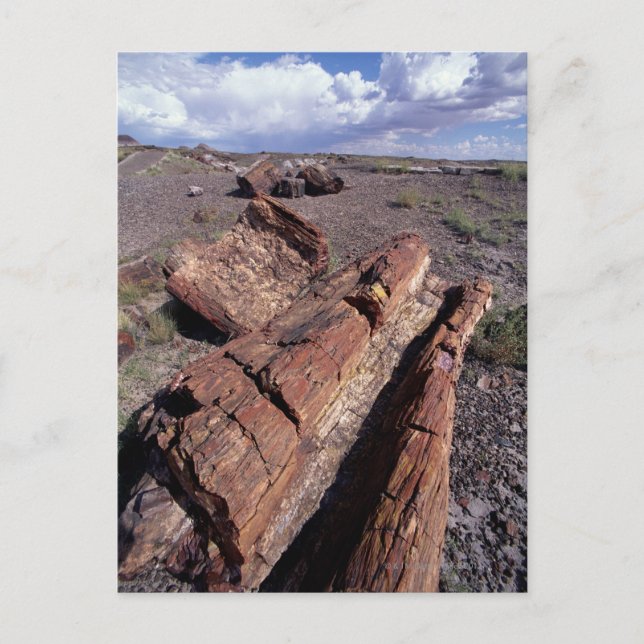 Cartão Postal EUA, Arizona, Petrified Forest National Park, 2 (Frente)