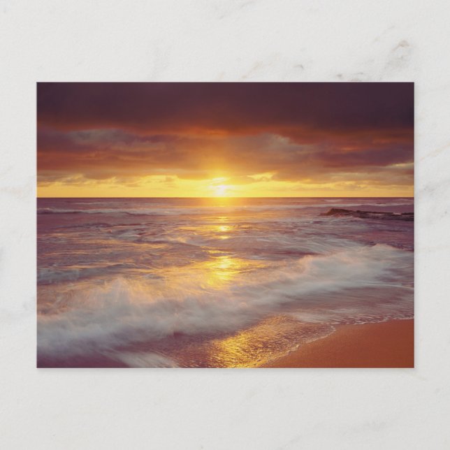 Cartão Postal EUA, Califórnia, San Diego. Praia de Sunset Cliffs (Frente)