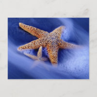 EUA, Carolina do Sul, Ilha Hilton Head. Dois