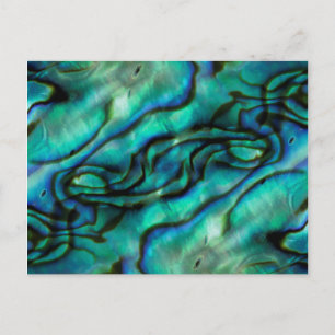 Cartão Postal EUA, Colorado, Lafayette. Montagem de conchas de A