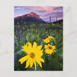 Cartão Postal EUA, Colorado, Mt. Crested Butte