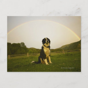 Cartão Postal EUA, Colorado, New Castle