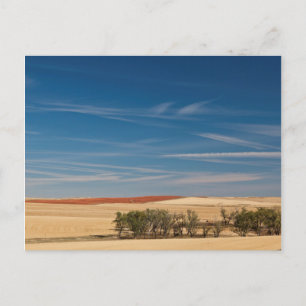 Cartão Postal EUA, Dakota do Sul, Murdo, Paisagem de Pradaria