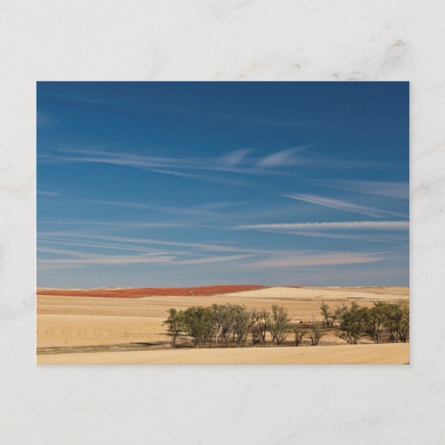 Cartão Postal EUA, Dakota do Sul, Murdo, Prairie Landscape (Frente)