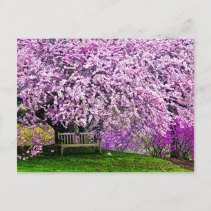 Cartão Postal EUA, Delaware, Wilmington. Banco de madeira debaix