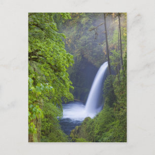 Cartão Postal EUA, Eagle Creek, Columbia Gorge, Oregon.