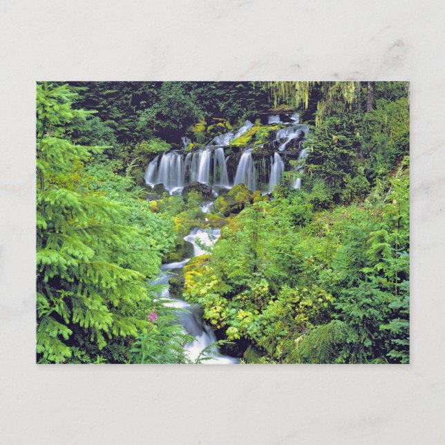 Cartão Postal EUA, Estado de Washington, Deserto Mt Adams. Gêmeo (Frente)