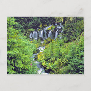 Cartão Postal EUA, Estado de Washington, Deserto Mt Adams. Gêmeo