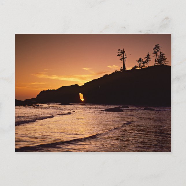 Cartão Postal EUA, Estado de Washington, Parque Nacional Olimpia (Frente)