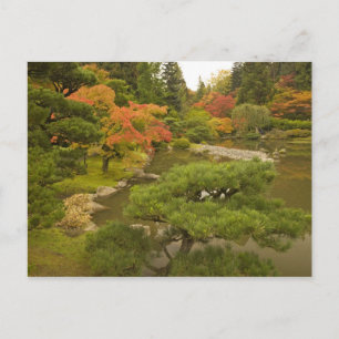 Cartão Postal EUA, Estado de Washington, Seattle. Japonês