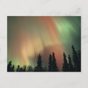Cartão Postal EUA, Fairbanks, Central Alaska, Aurora 3