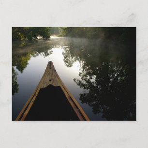 Cartão Postal EUA, Florida, Ocala National Forest, Alexander