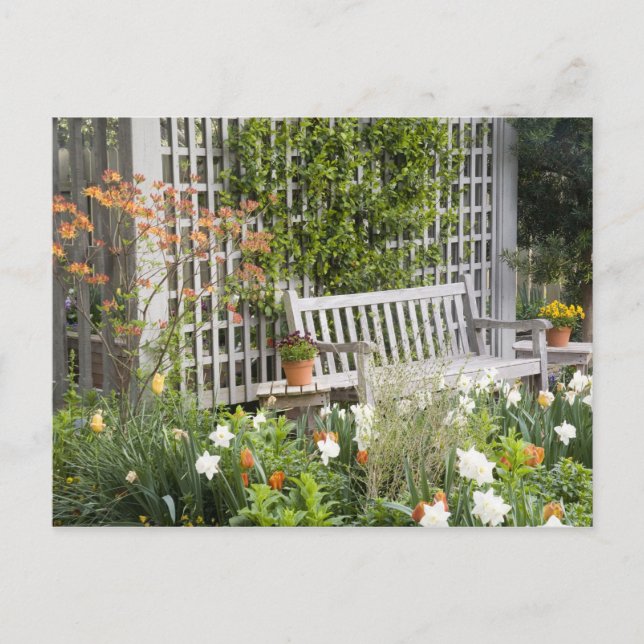 Cartão Postal EUA, Geórgia, Pine Mountain. Presidente no (Frente)