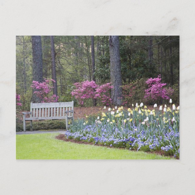 Cartão Postal EUA, Geórgia, Pine Mountain. Uma fronteira de (Frente)