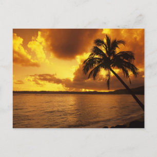 Cartão Postal EUA, Havaí, Kauai, Nascer do sol colorido em um