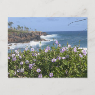 Cartão Postal EUA, Havaí, Kauai, perto de Kapaa, noroeste