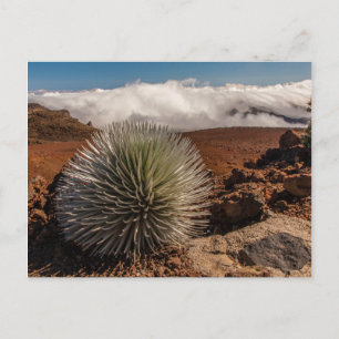 Cartão Postal EUA, Havaí, Maui, Parque Nacional Haleakala
