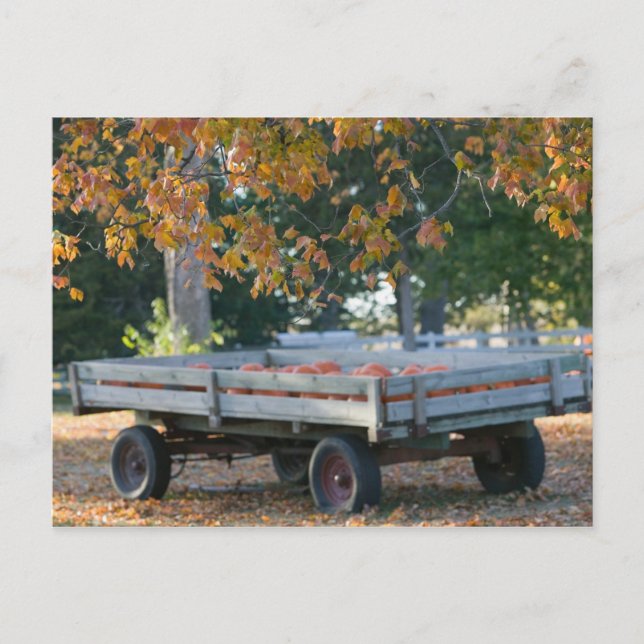 Cartão Postal EUA, IOWA, o Condado de Madison, Winterset: Howell (Frente)